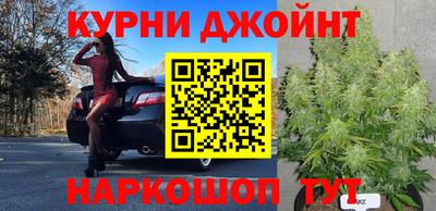 прущий лед Кингисепп