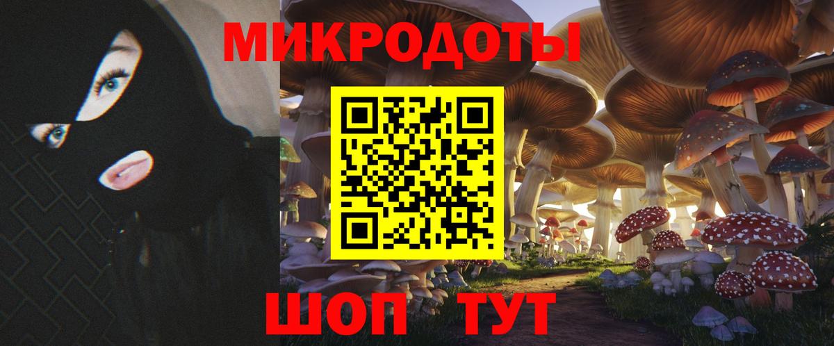 Галлюциногенные грибы Magic Shrooms Каспийск