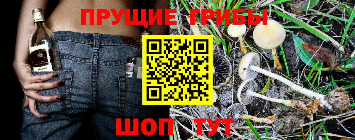 Каспийск  Галлюциногенные грибы ЛСД  Вход с VPN 